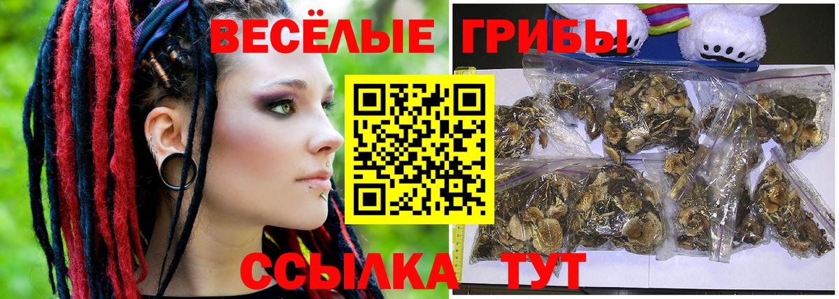 купить наркотик  Псилоцибиновые грибы ЛСД  Вход с VPN  Псилоцибиновые грибы прущие грибы  Горячий Ключ 